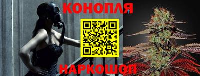 амф Владимир