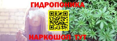 амф Владимир