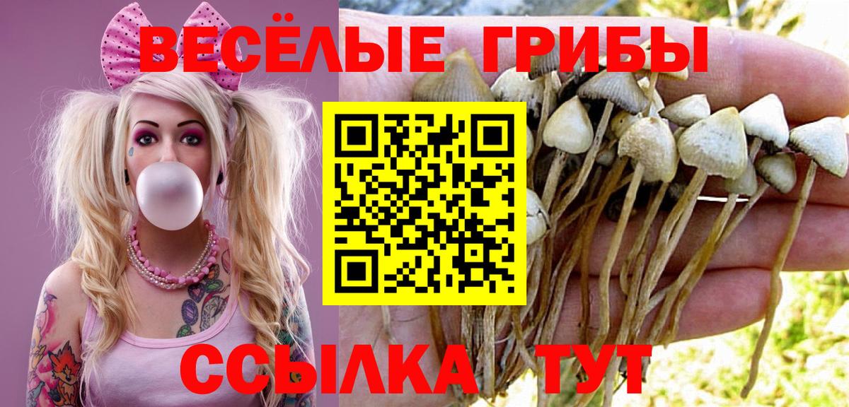 Домодедово  Галлюциногенные грибы мицелий  Вход с VPN 